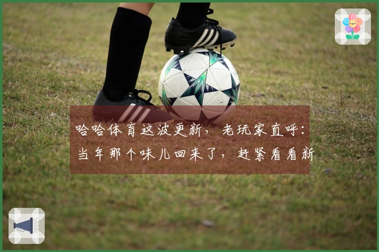 哈哈体育这波更新，老玩家直呼：当年那个味儿回来了，赶紧看看新增的这几个套路！